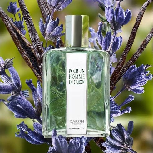 ادکلن پوران هوم کیفیت مسترکوالتی تظمینی