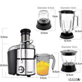 آبمیوه گیر 4 کاره دسینی مدل DS-1100