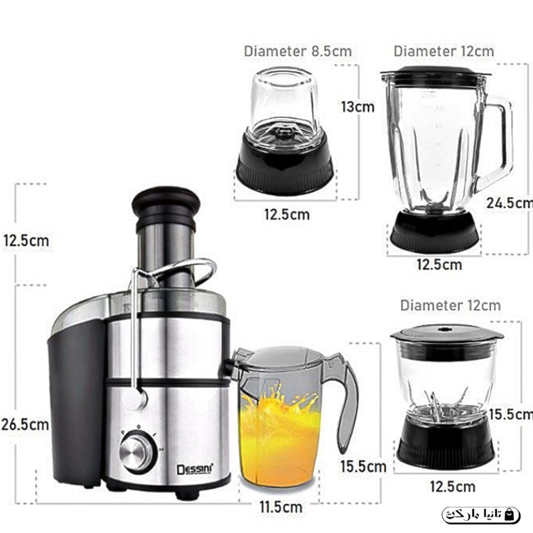 آبمیوه گیر 4 کاره دسینی مدل DS-1100