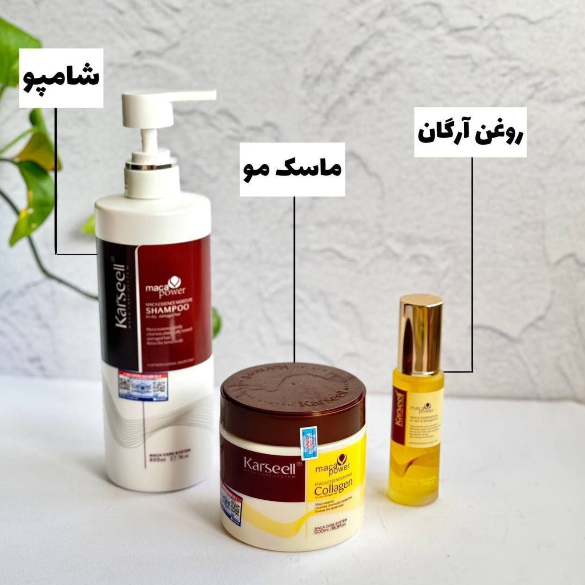 پک کارسل ( شامپو، ماسک ،روغن )